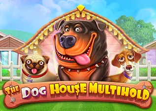 เครดิตฟรี20 The Dog House Multihold ทดลองเล่นฟรี